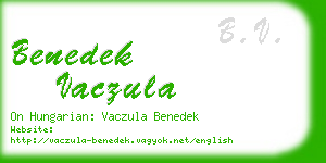 benedek vaczula business card